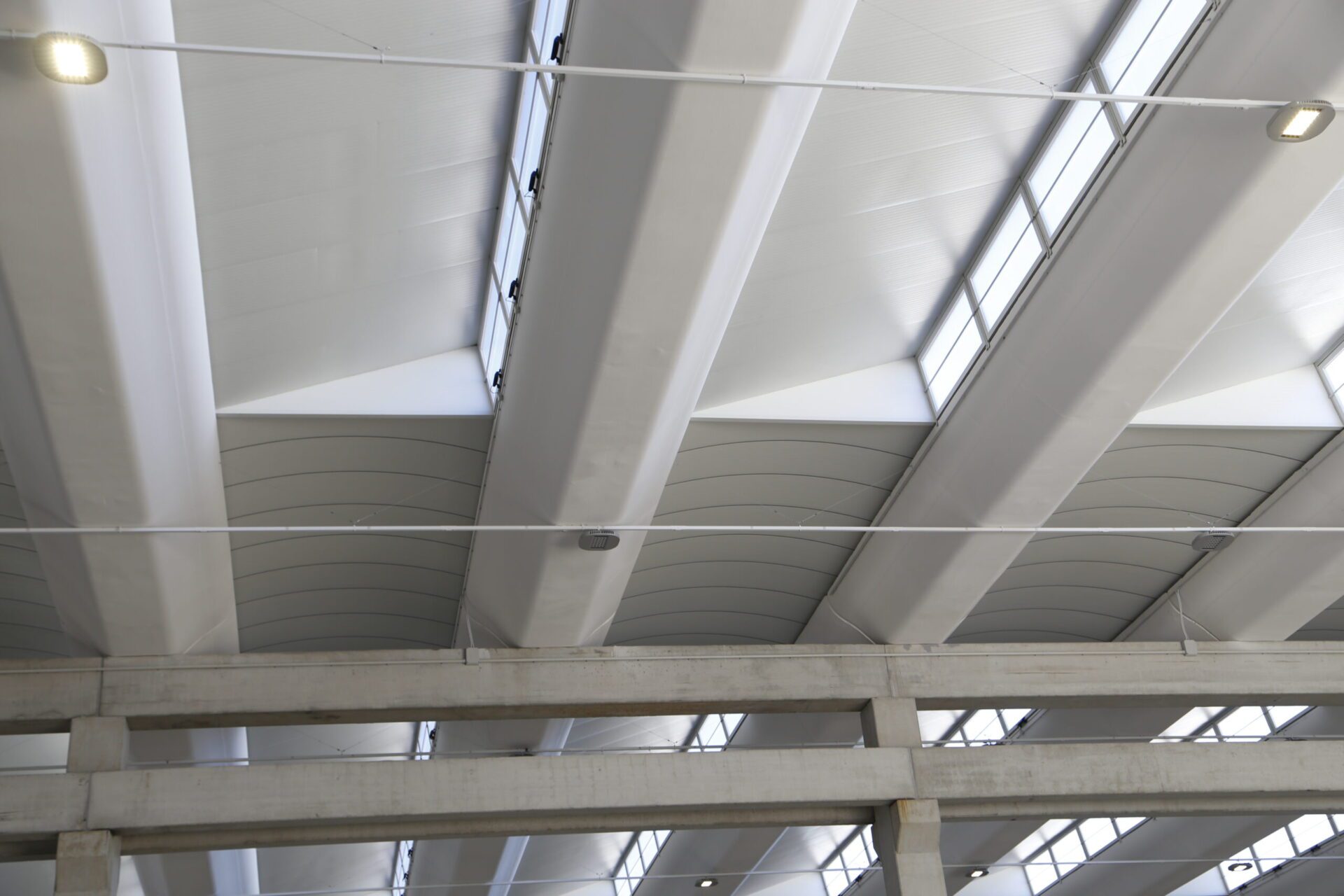 Tetto finestrato di capannone industriale.